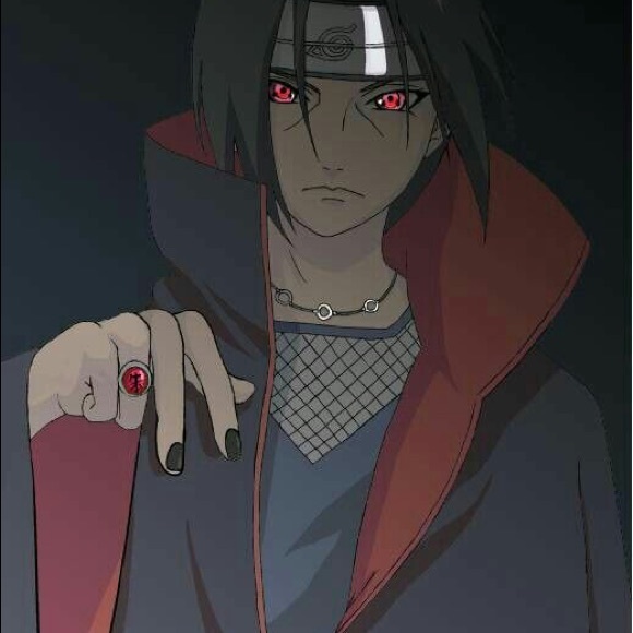 Meet your Posher, Kayse - Picture 1 of 1